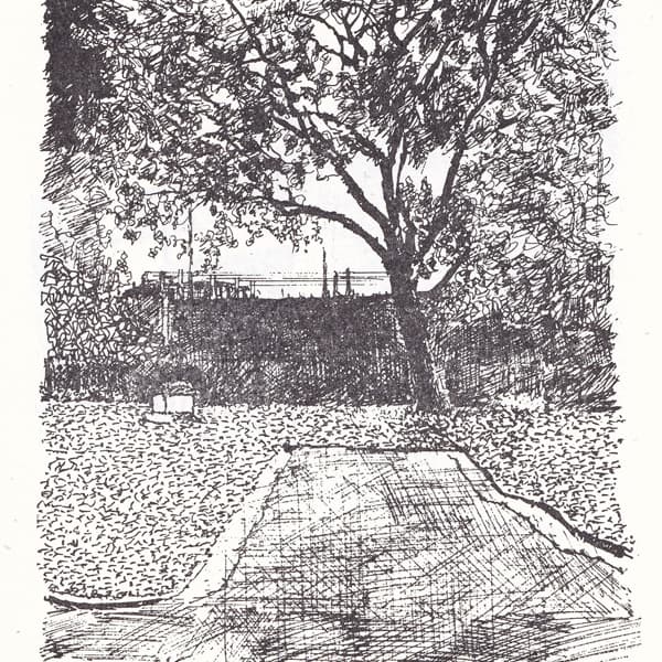 Torriano Teas special