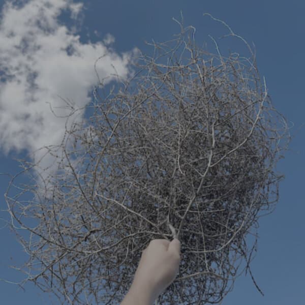 Morgan Watson, Jonathan Skinner & Christopher Watson