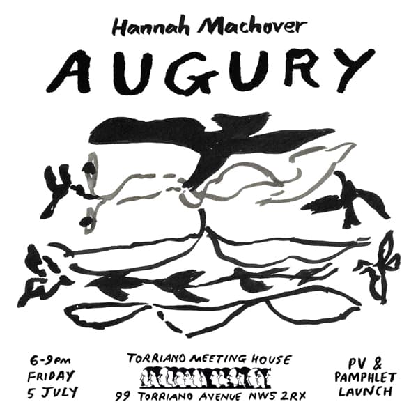 Augury opening